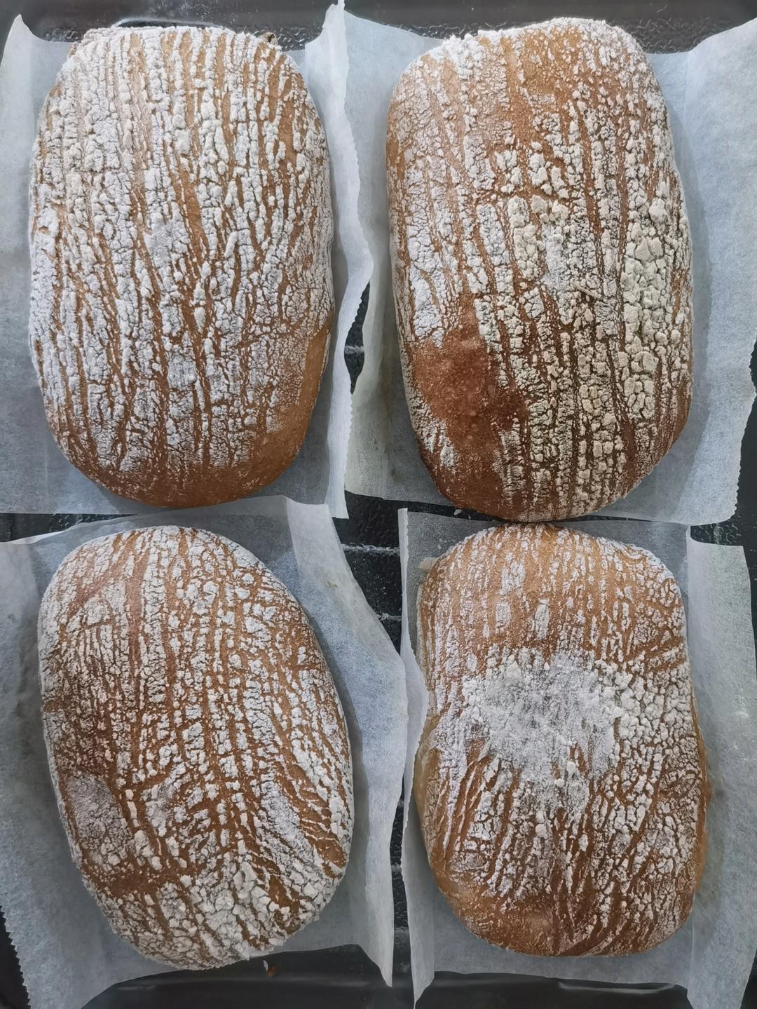 恰巴塔面包  Ciabatta