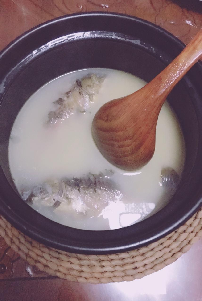 栀子1118做的奶白鲫鱼汤