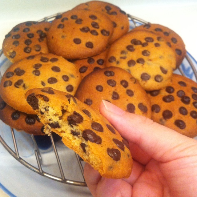 巧克力豆诱惑曲奇