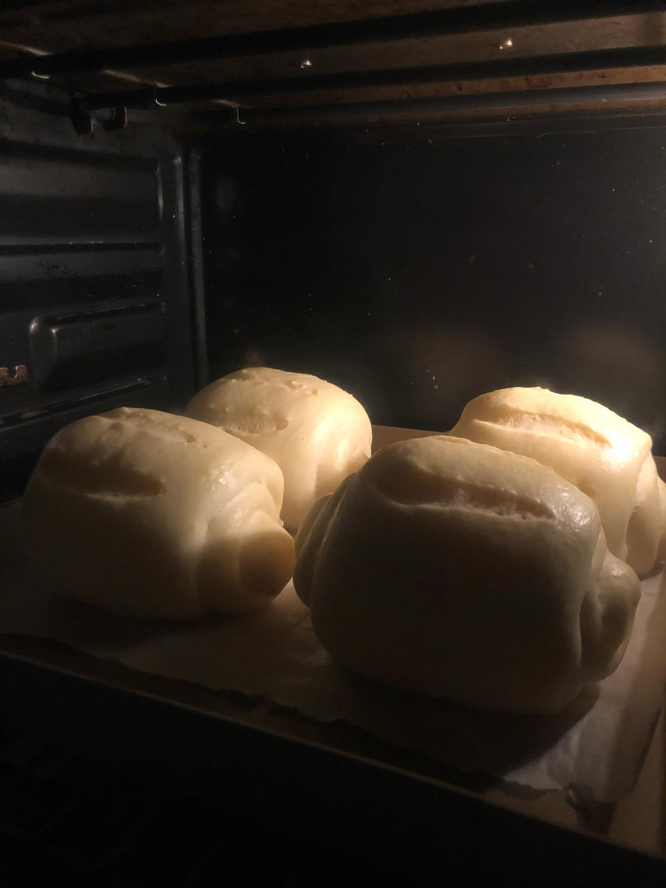 牛奶哈斯