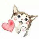 迷糊的小猫咪吃货