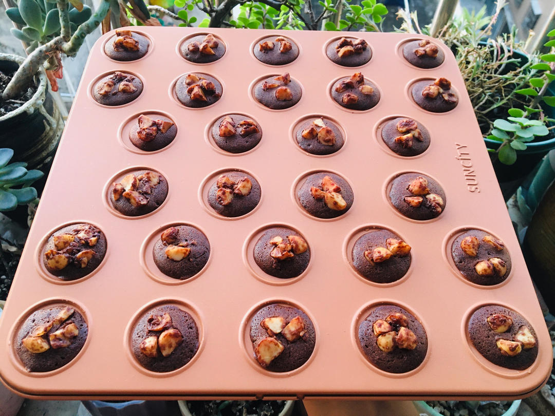 网红珍妮脆脆 巧克力脆脆 坚果脆 可可脆片