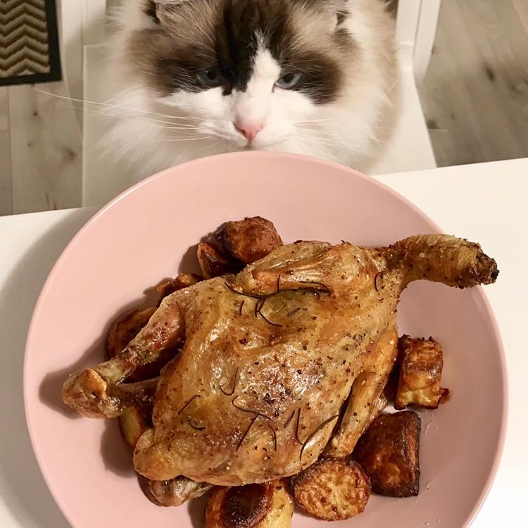 迷迭香脆皮烤鸡