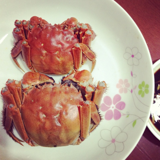 清蒸大闸蟹