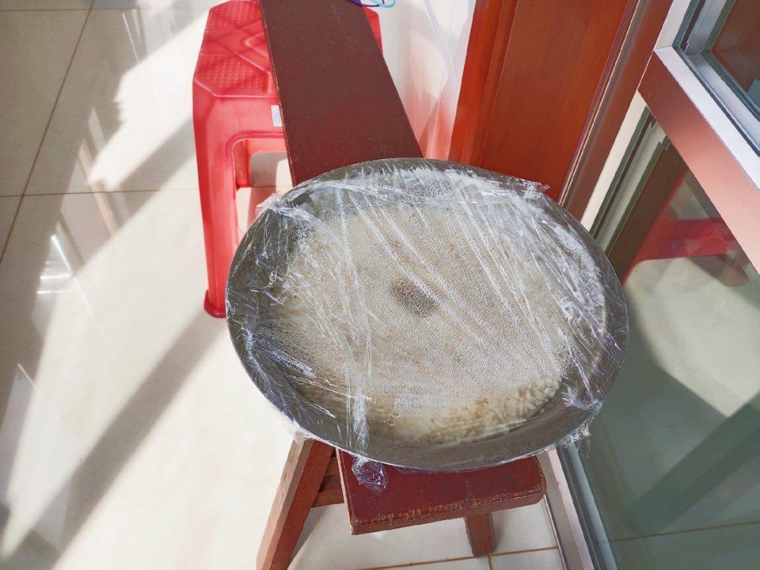 酒酿 (酒酿系列一）