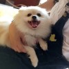 笑笑_cpab