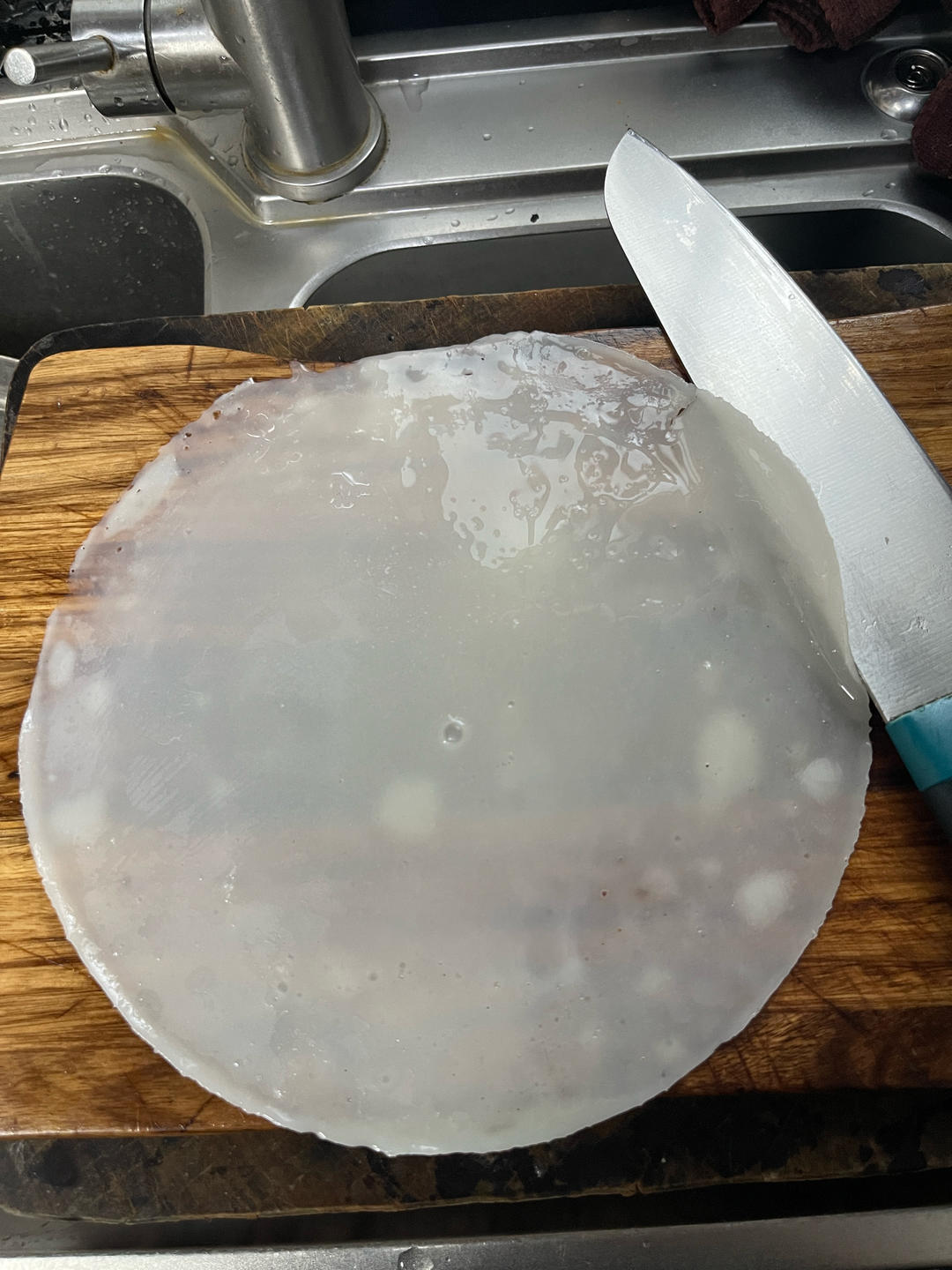 自制河粉（方子已改进）