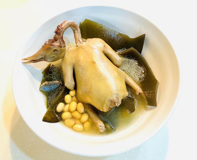 海带头黄豆煲中鸽的做法