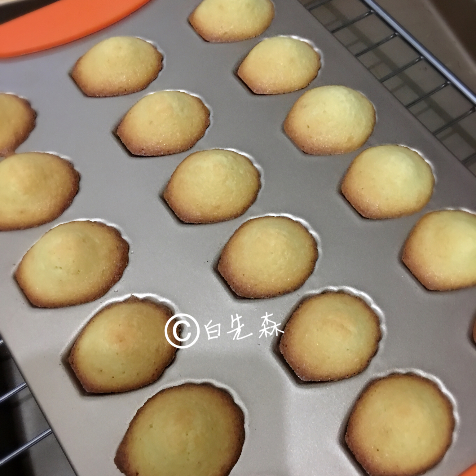 玛德琳（蓝带方）