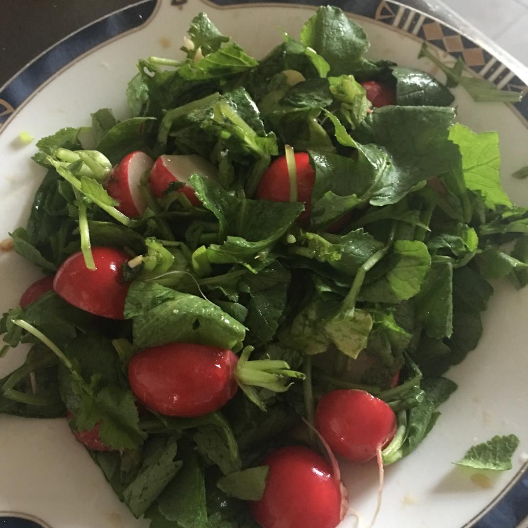 爽口凉拌小萝卜and萝卜缨