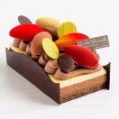 手机用户2446_iwhv