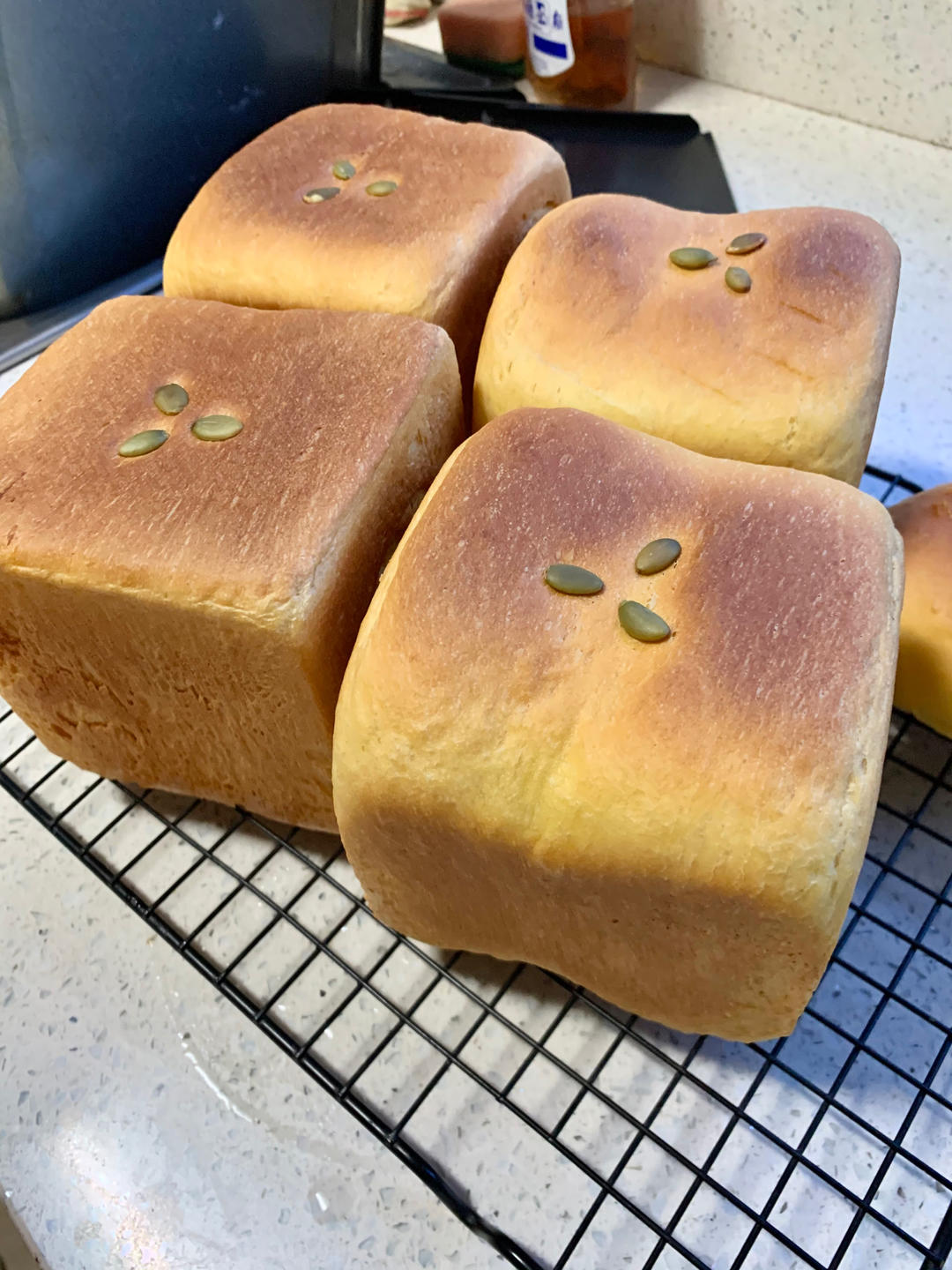 水立方南瓜小吐司！色泽金黄！面包体松软！