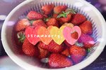 strawberry草莓🍓椰奶冻