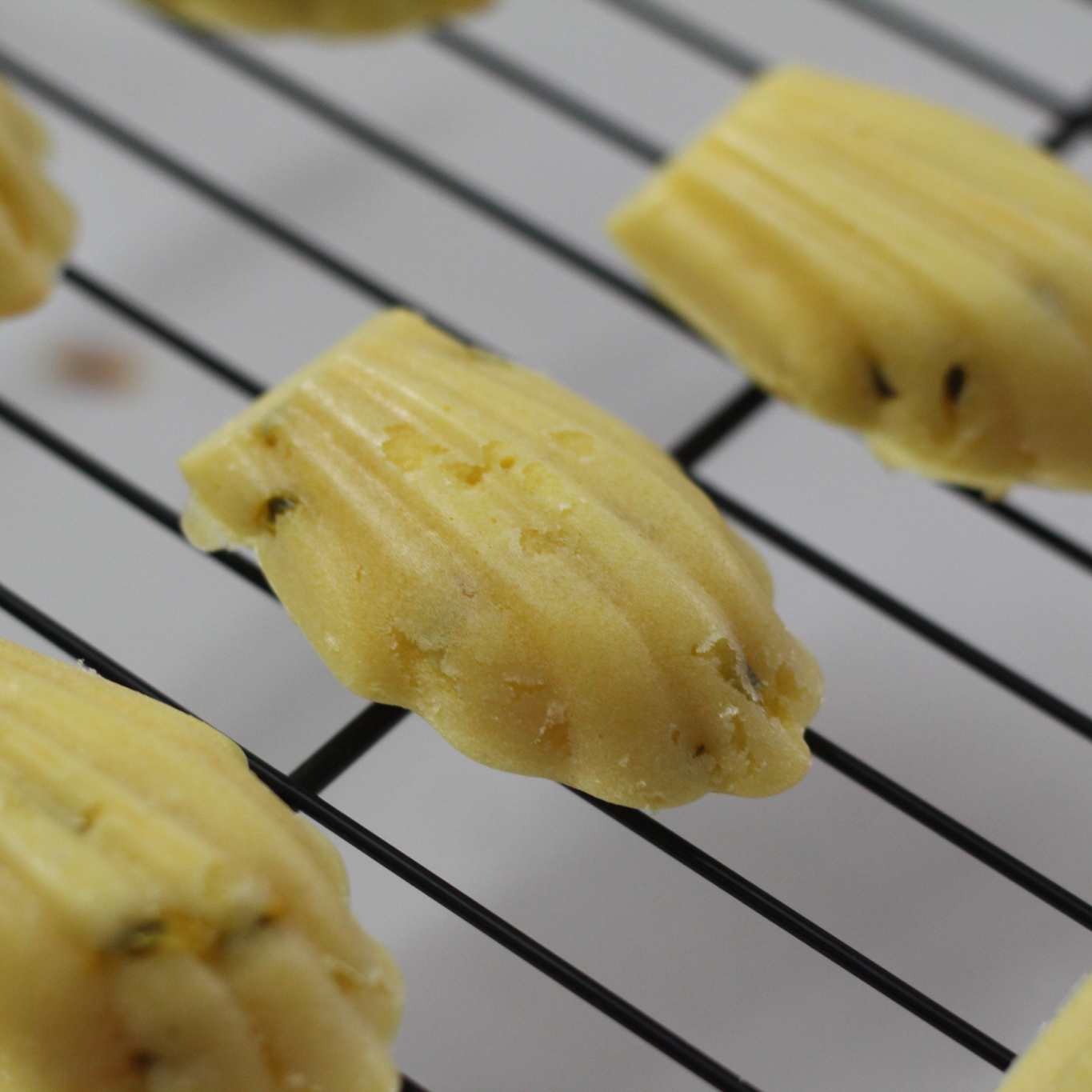 【夏日无负担系列】 百香果海绵玛德琳