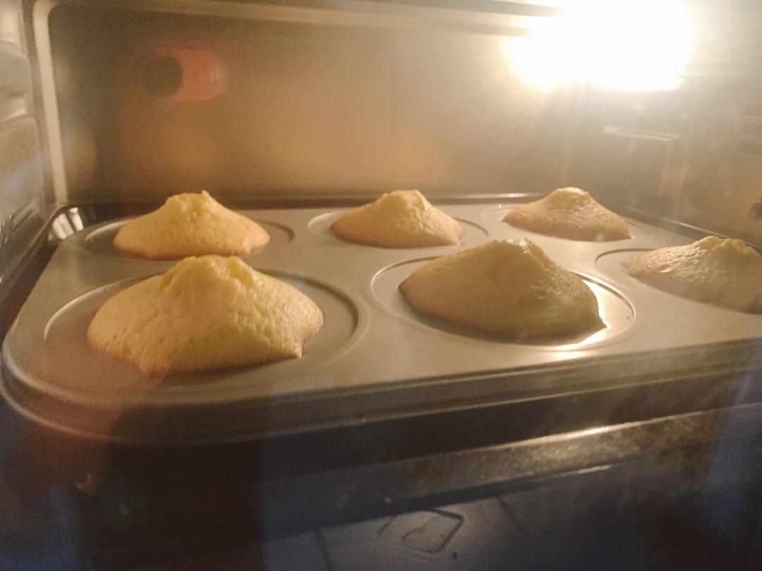 《Tinrry+》柠檬玛德琳