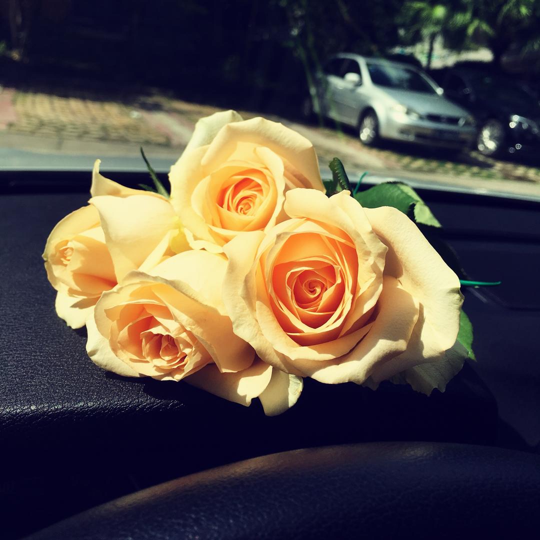 厨小白也有春天