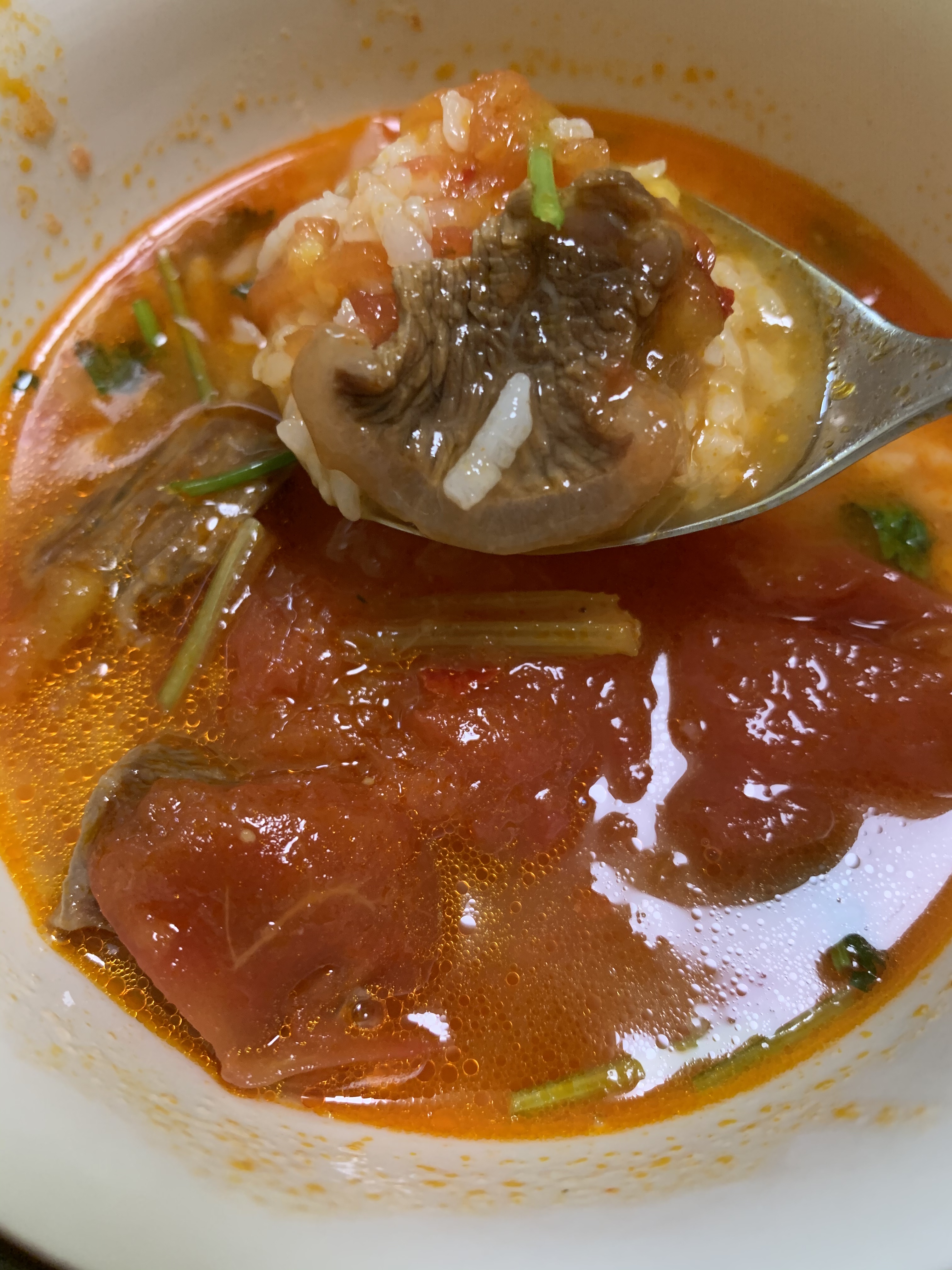 泡汤能吃三碗饭的-番茄炖牛肉的做法 步骤24