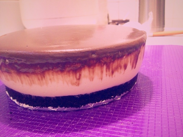 冻酸奶芝士蛋糕