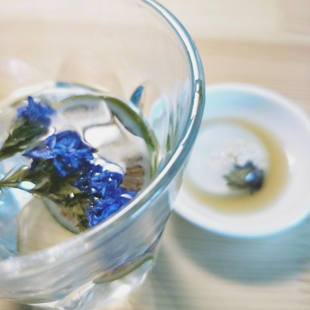 日本最温柔的梦幻和菓子 — 水信玄饼