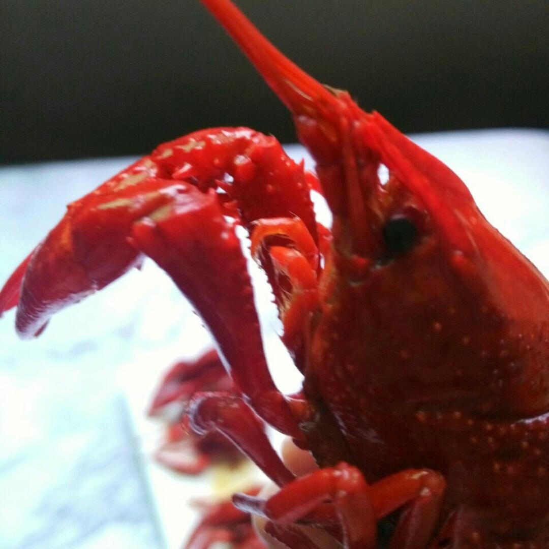 玉轩一个人远行