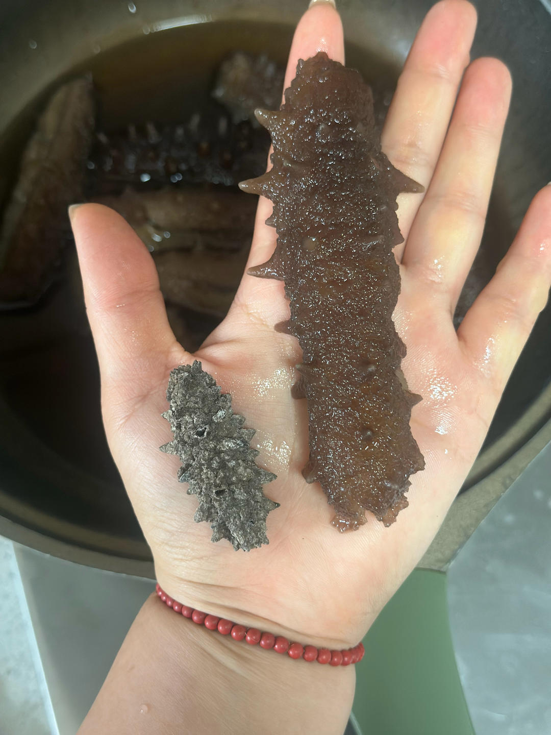 海参泡发攻略