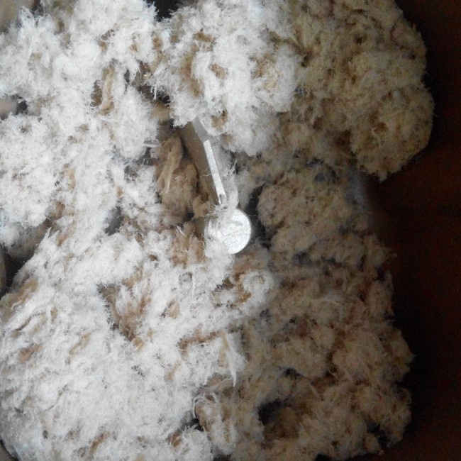 面包机自制肉松