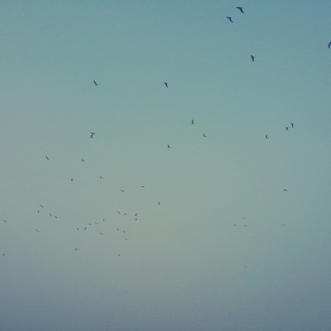 80％的营养+20％运动＝棒棒哒(^_^)Y