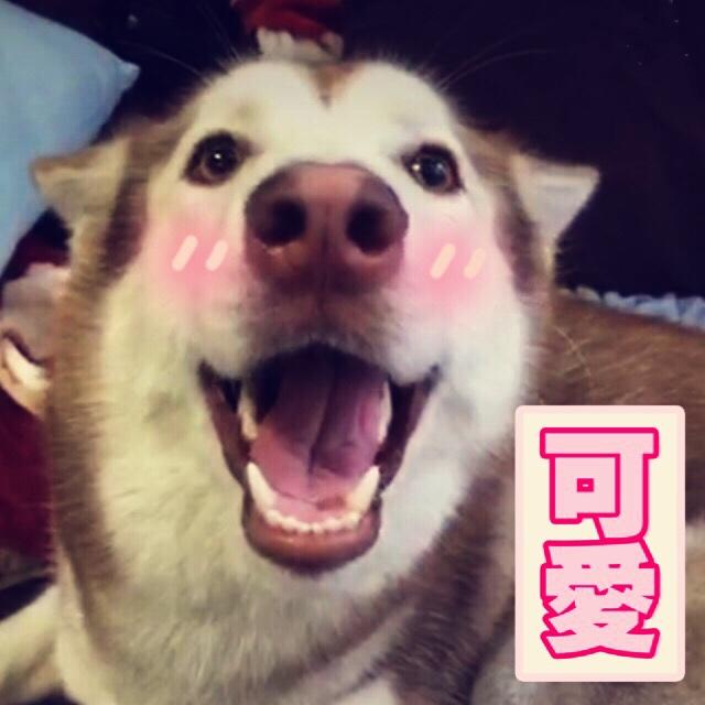 浪里小白龙呀喂