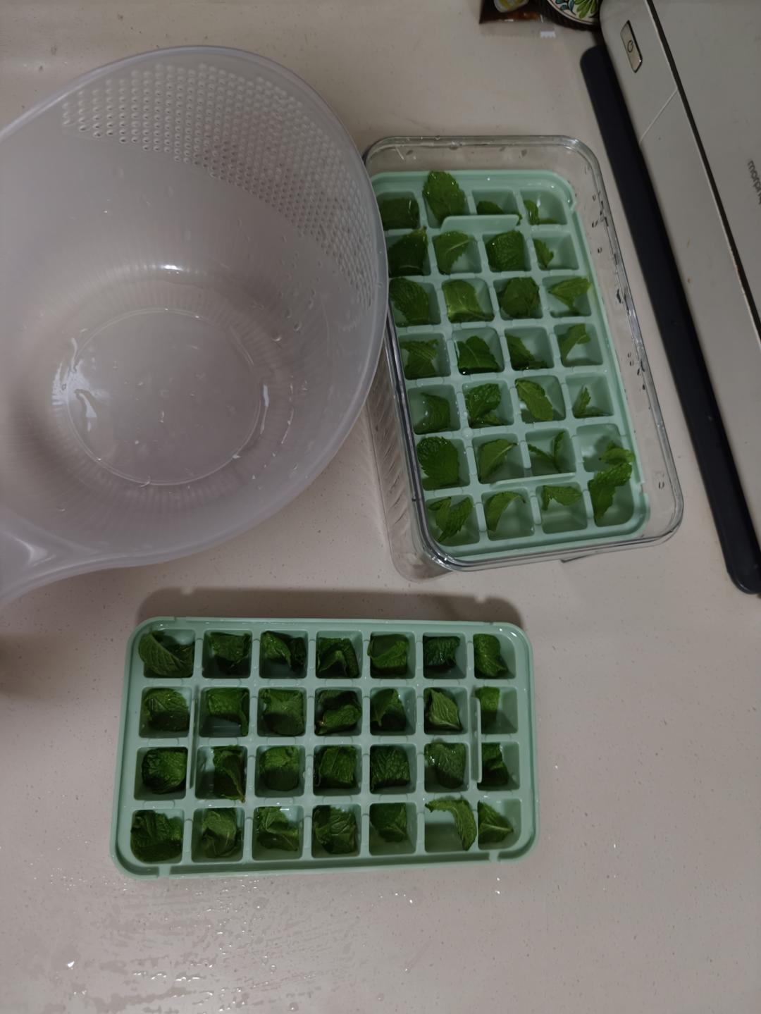 新鲜薄荷叶保存