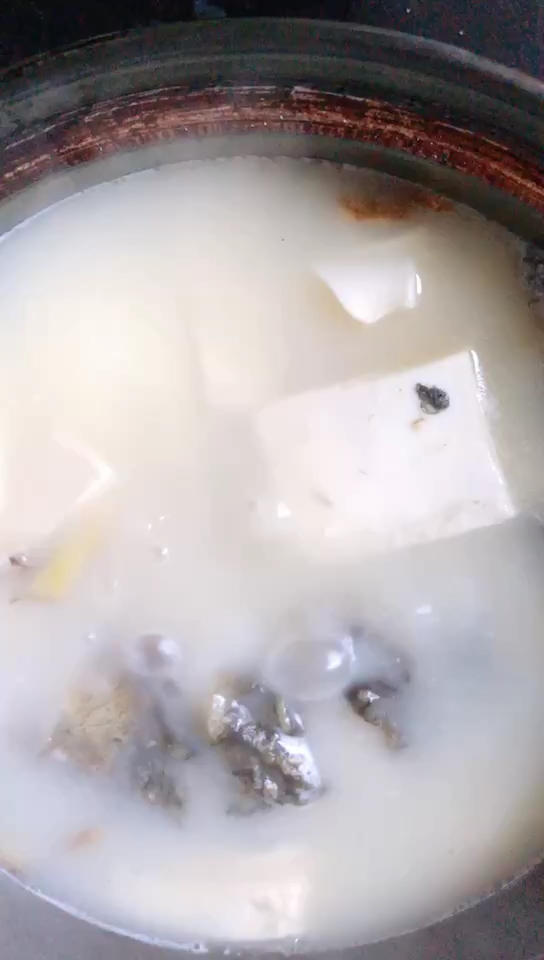 奶白鲫鱼豆腐汤