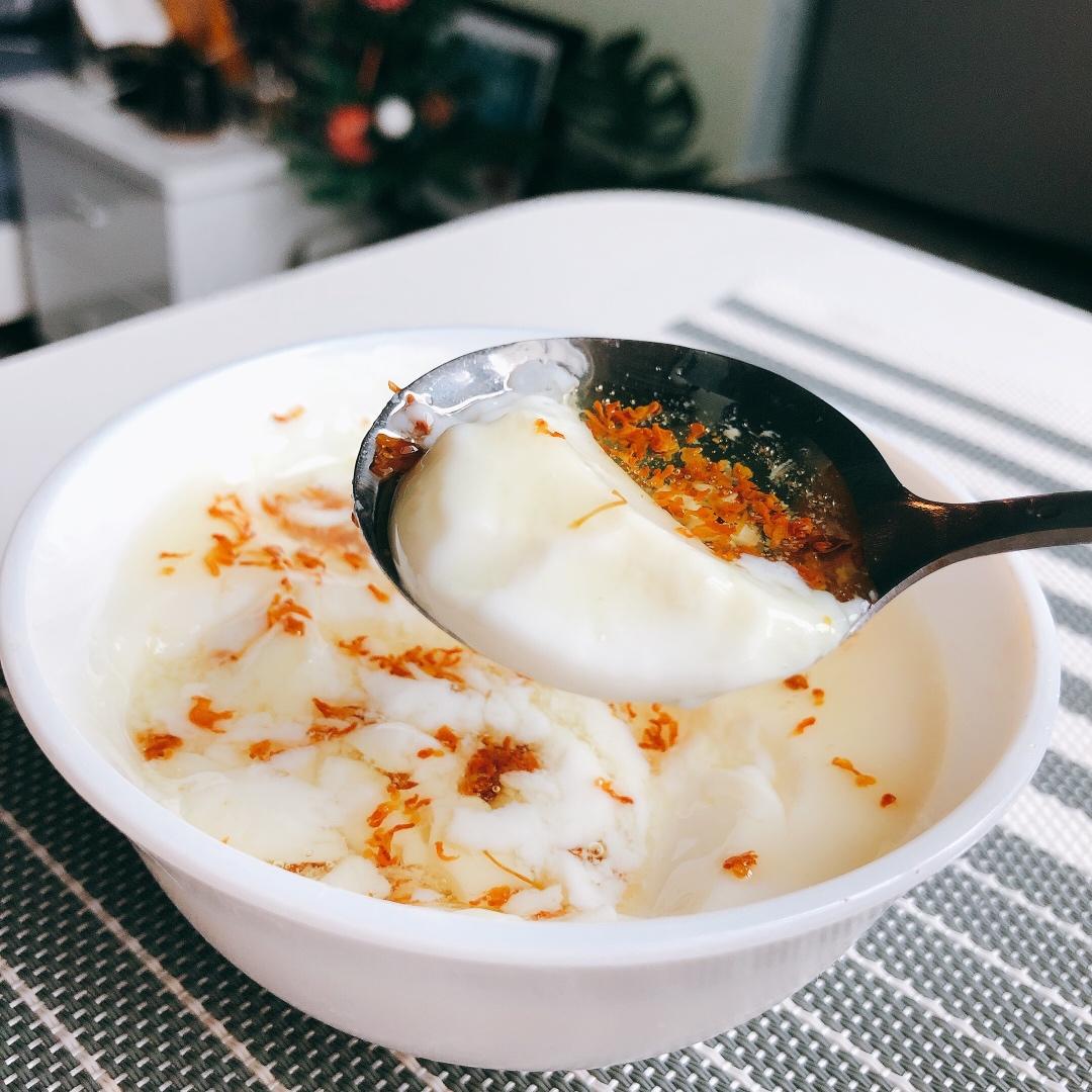 糖桂花炖奶