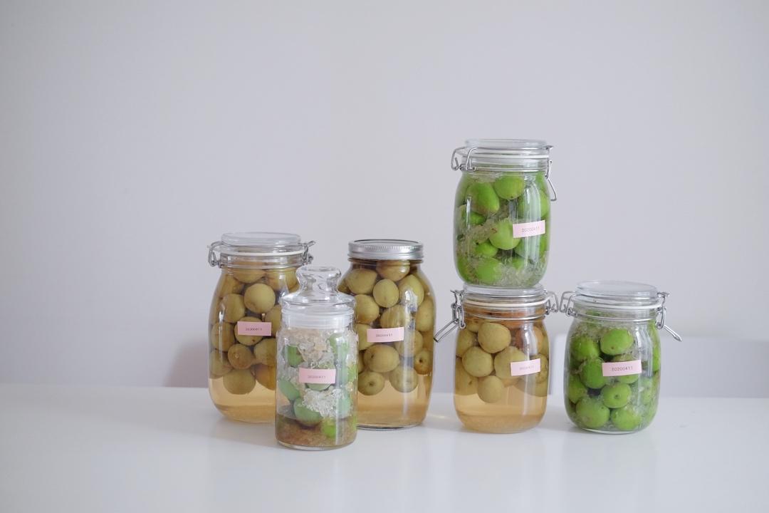 青梅酒（优的春日私酿第二話）