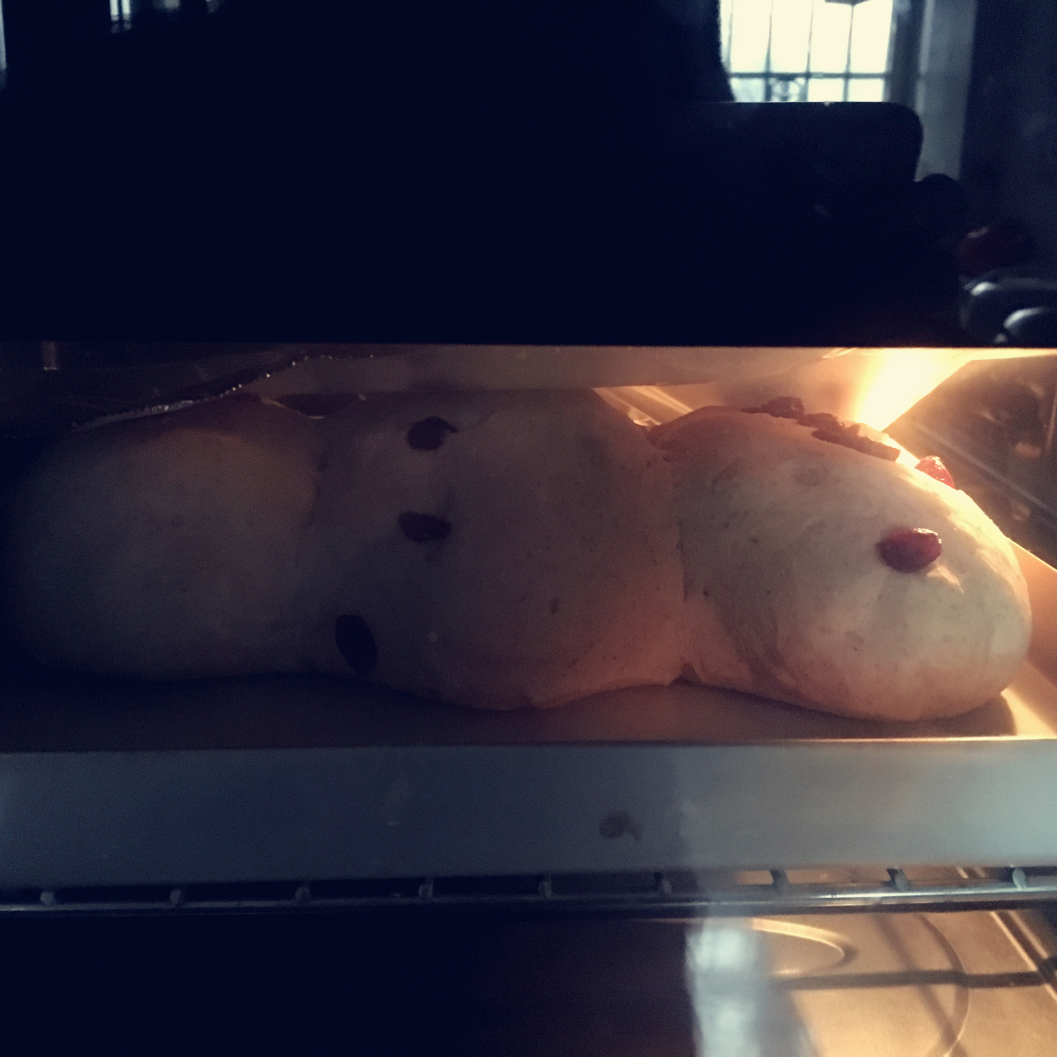 无油无糖全麦果干面包