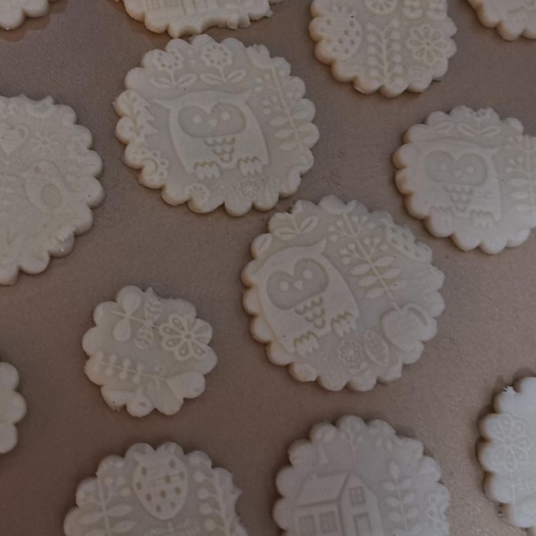视频🦕恐龙化石饼干｜孩子们的侏罗纪公园梦｜无蛋配方