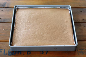 巧克力棉花蛋糕卷的做法 步骤12