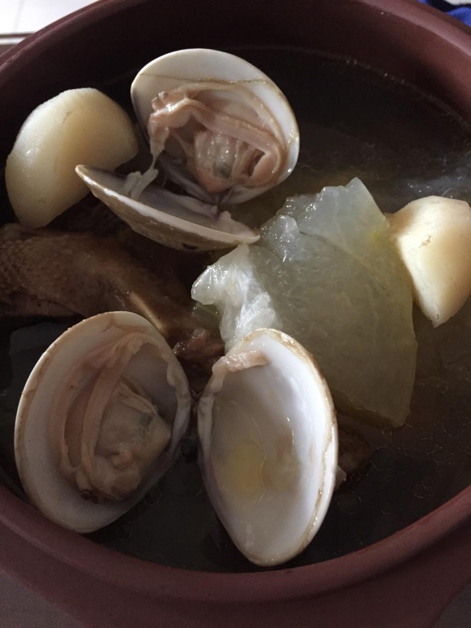 冬瓜煲水鸭汤