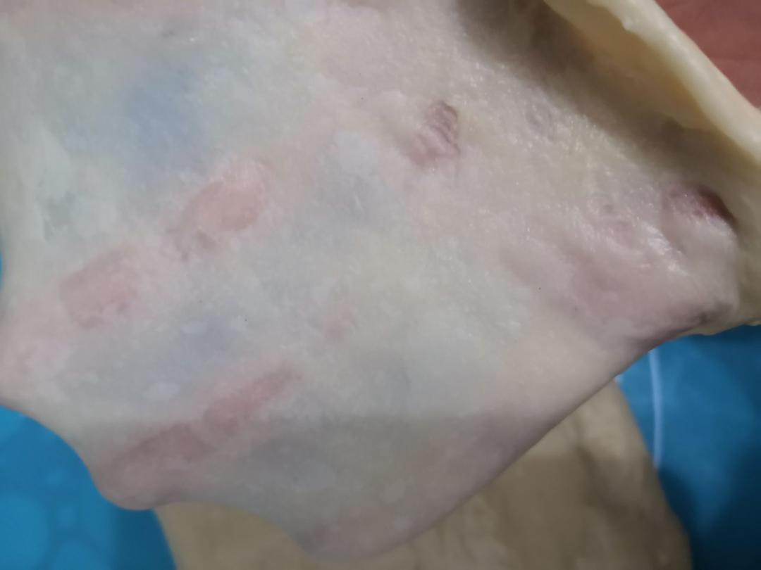 面包十五分钟手套膜及拉丝秘笈(附七岁儿童终极版)