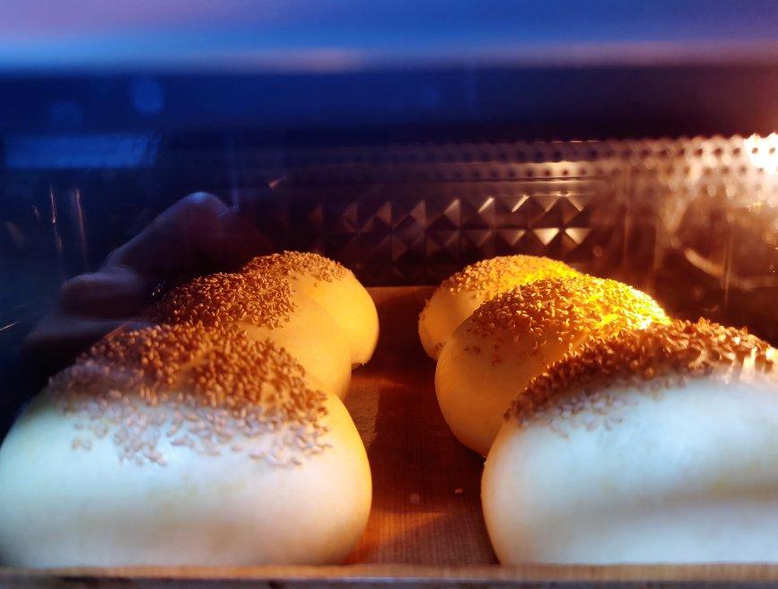 汉堡胚 poolish（波兰种）