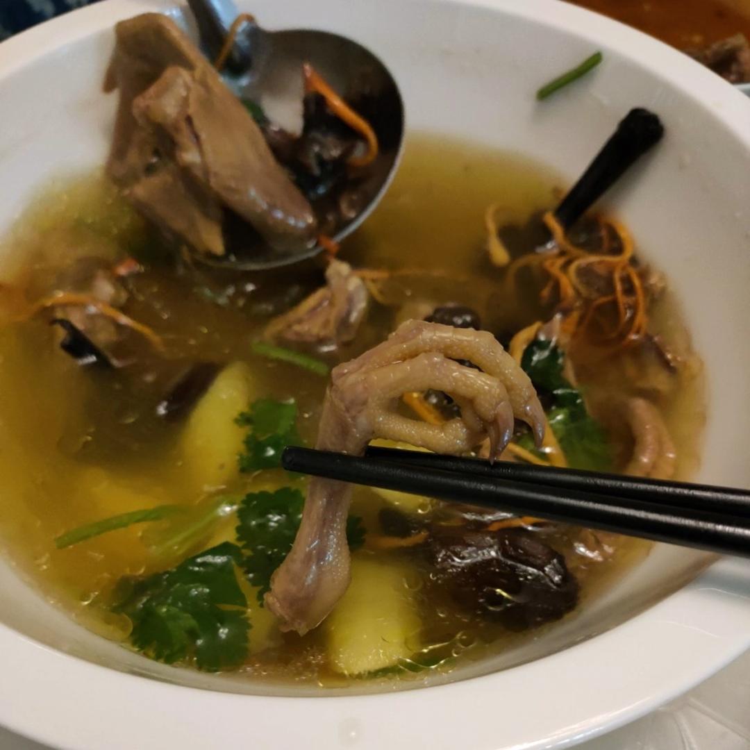 零失败养生鸽子汤