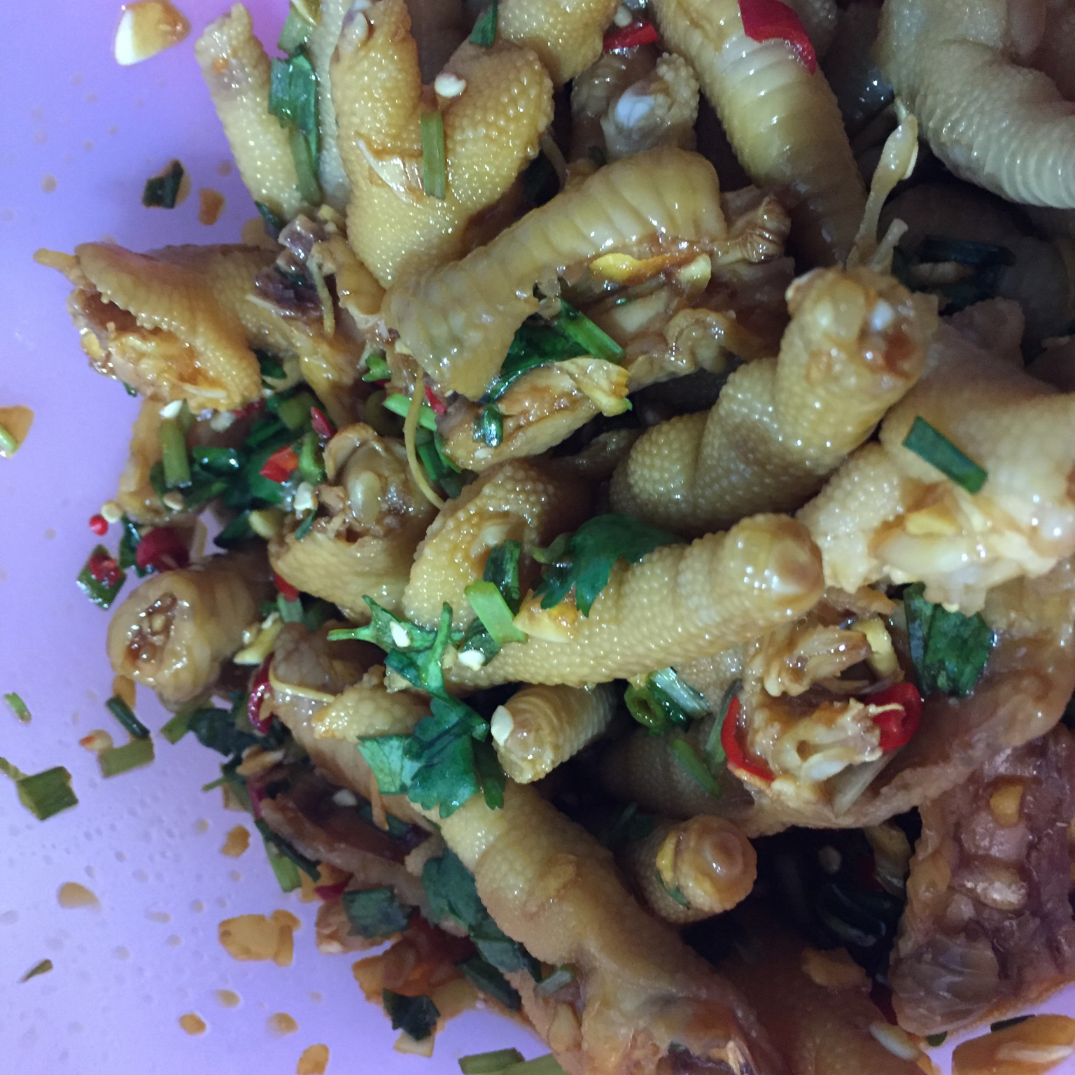 凉拌鸡爪（世界杯必备）