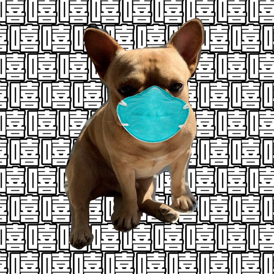 番番番儿