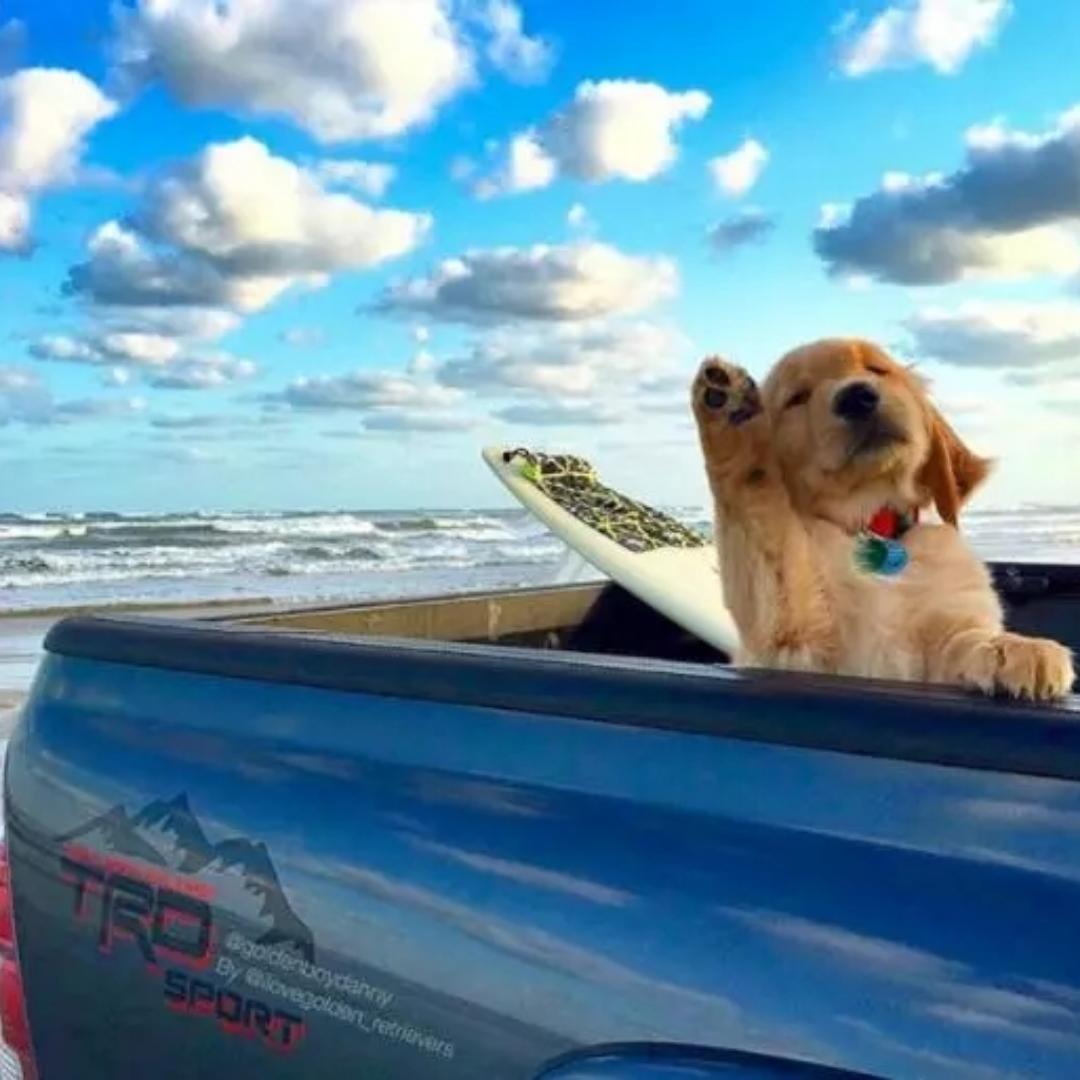 小叮当叮叮当ccyy