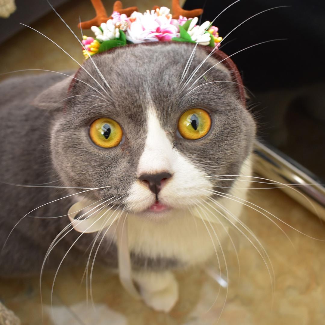 三番家
