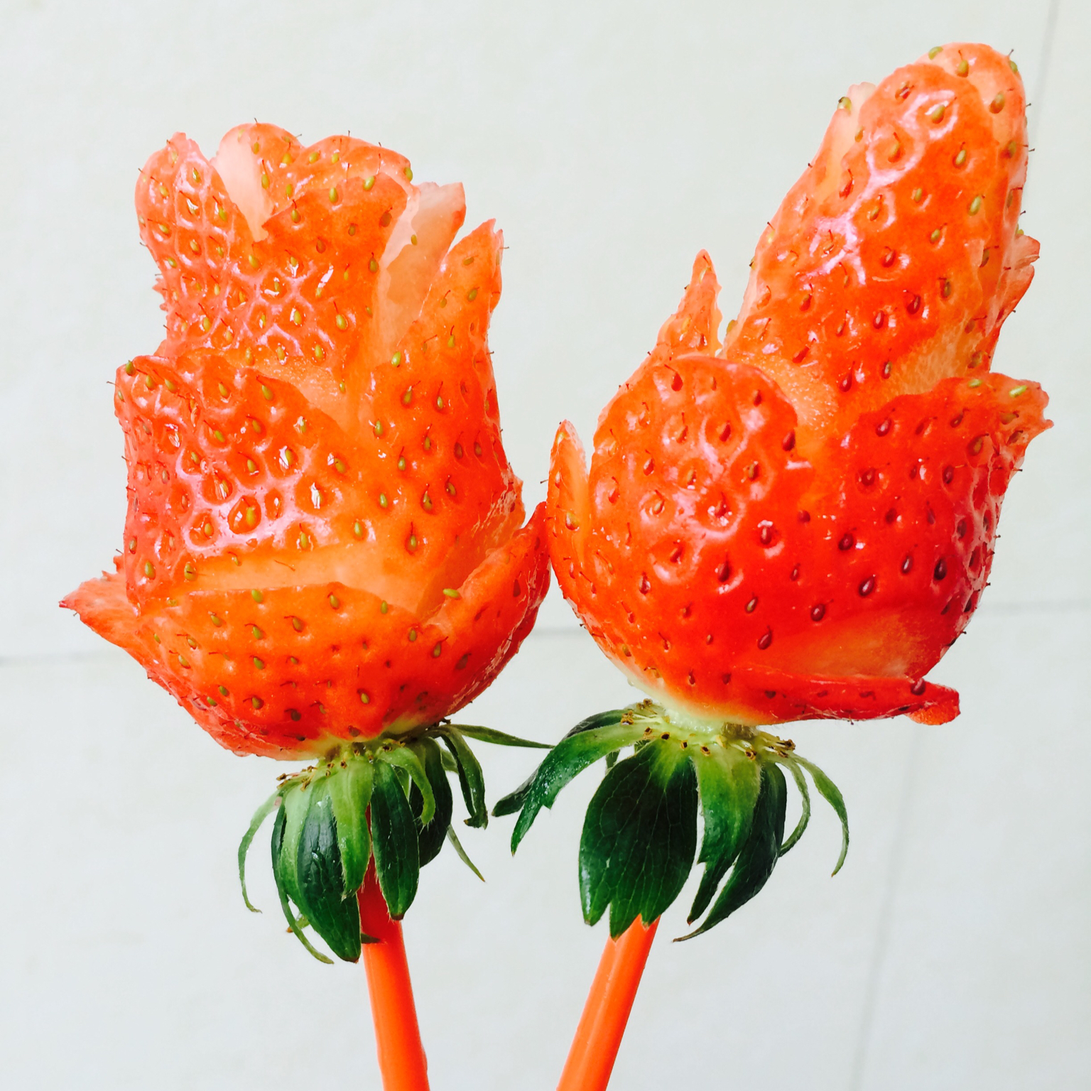 草莓玫瑰花