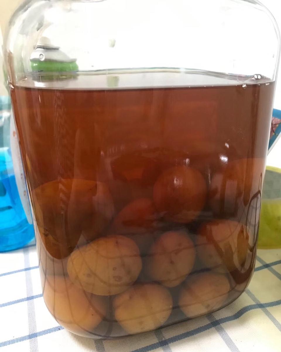 【青梅酒】梅子的沉醉时光（已填坑）