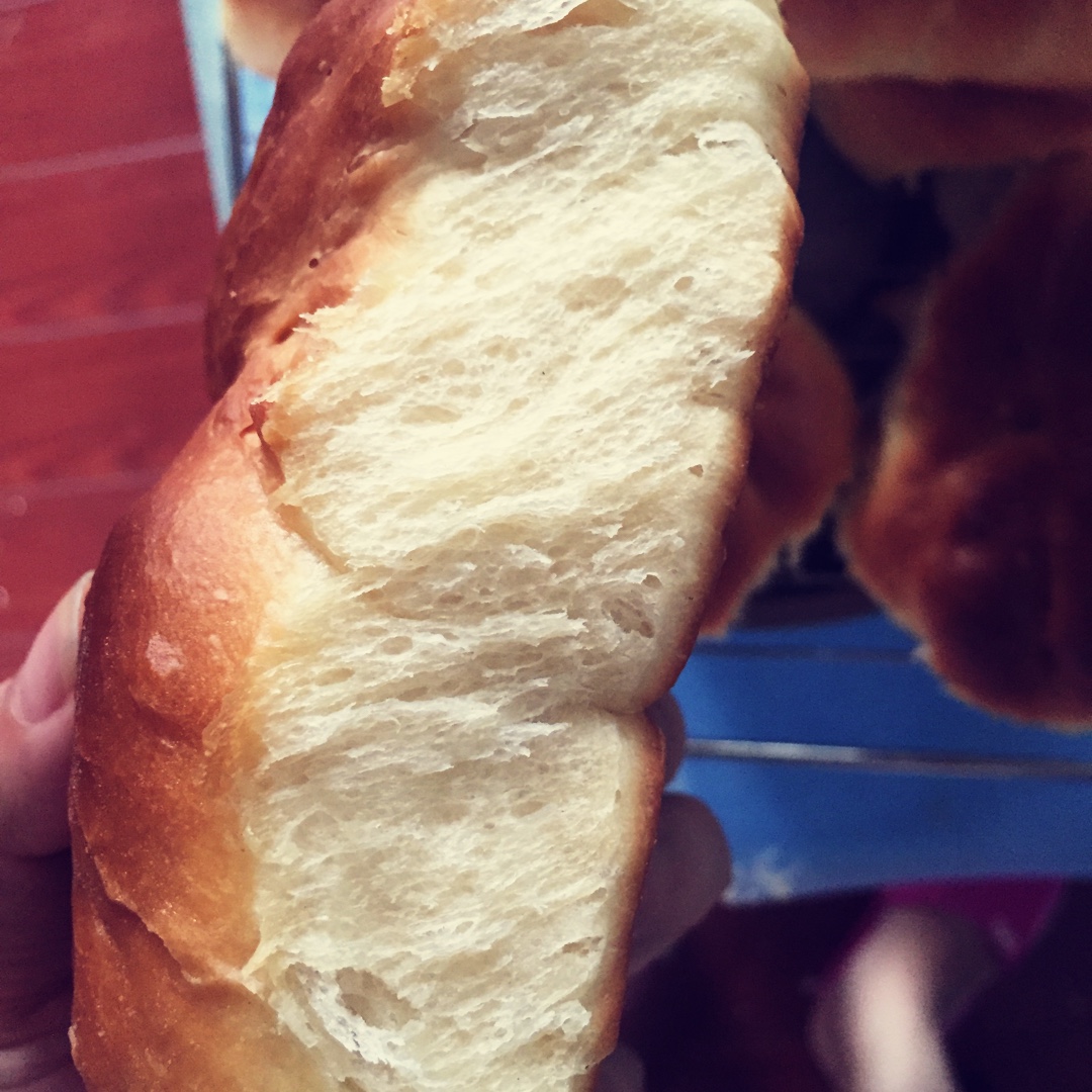 【爱和自由】老面包