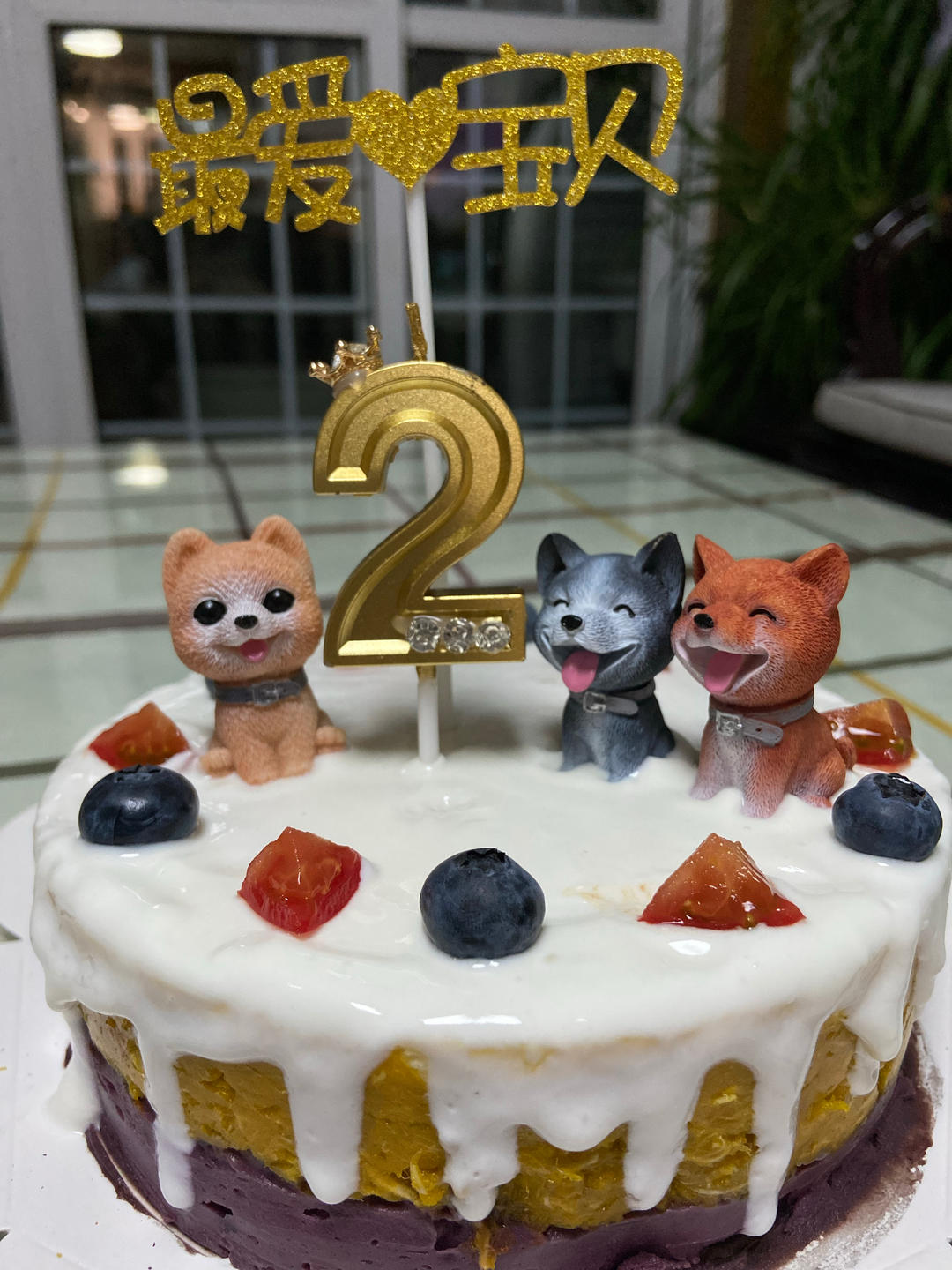 狗狗的健康无谷生日蛋糕