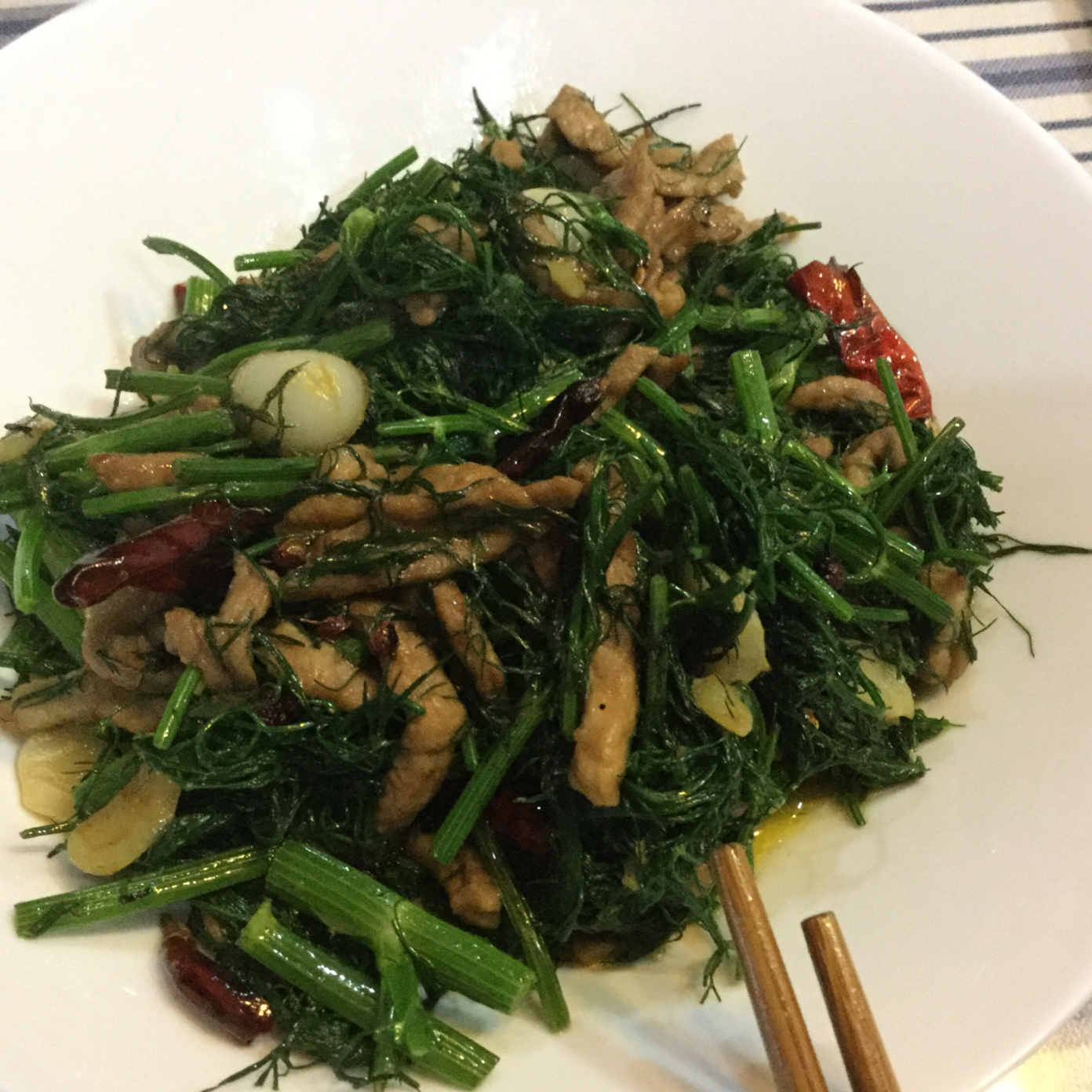 咫尺天涯_8cdp做的茴香炒肉