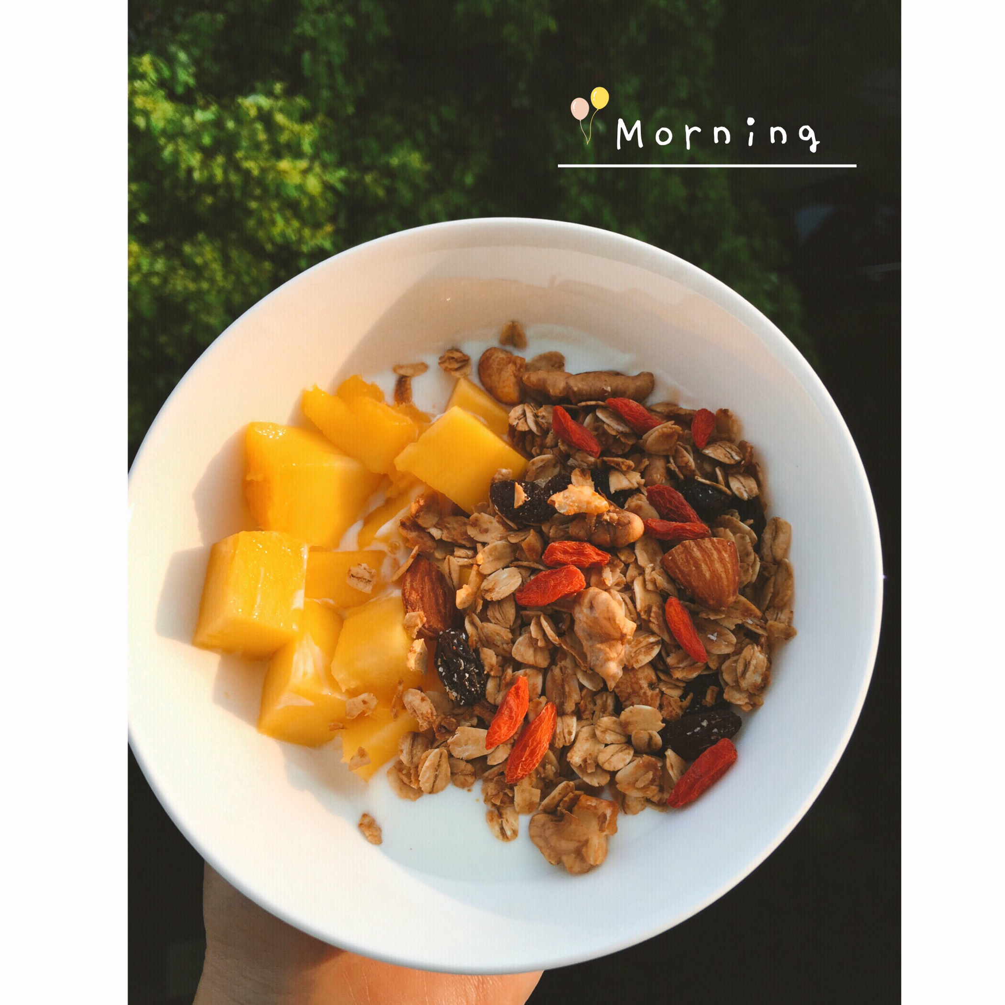 Granola 元气满满的格兰诺拉麦片