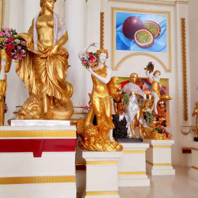 小女人大厨师的厨房